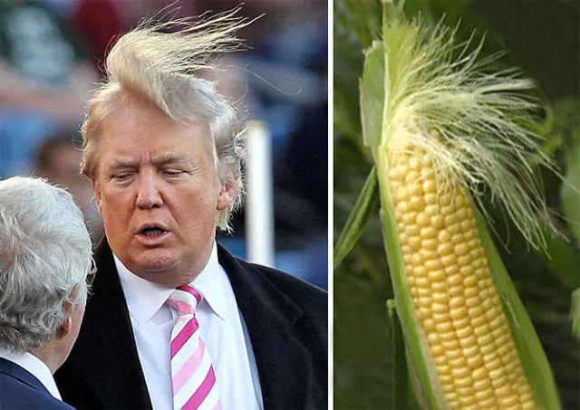 На кого схожий Дональд Трамп